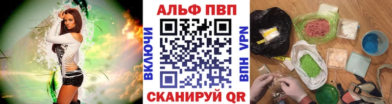A PVP СК КРИС  Бердск 