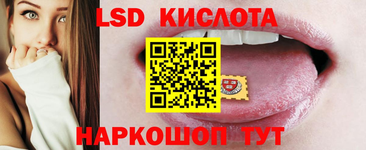 Лсд 25 экстази ecstasy  Вход с VPN  Бердск 