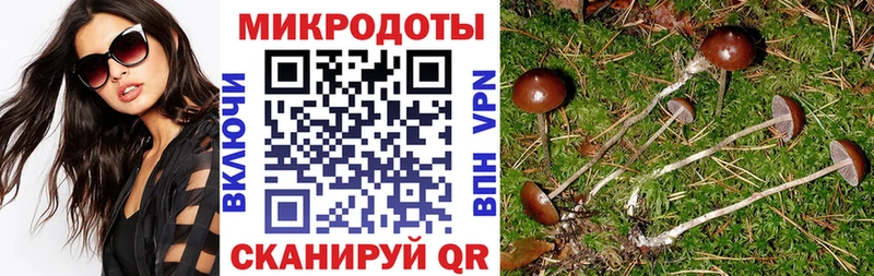 продажа наркотиков  Бердск  Галлюциногенные грибы Psilocybine cubensis 