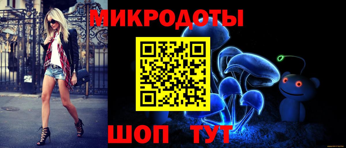 Псилоцибиновые грибы мицелий Бердск