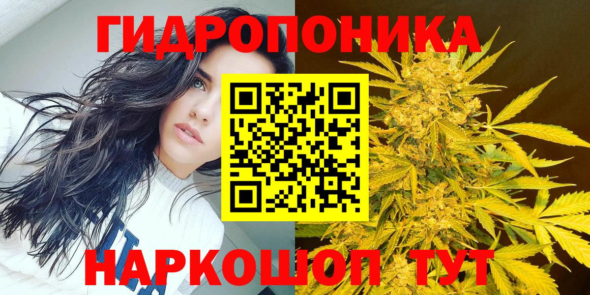 Марихуана LSD WEED  Бошки марихуана SATIVA & INDICA  Бердск  Вход с VPN 